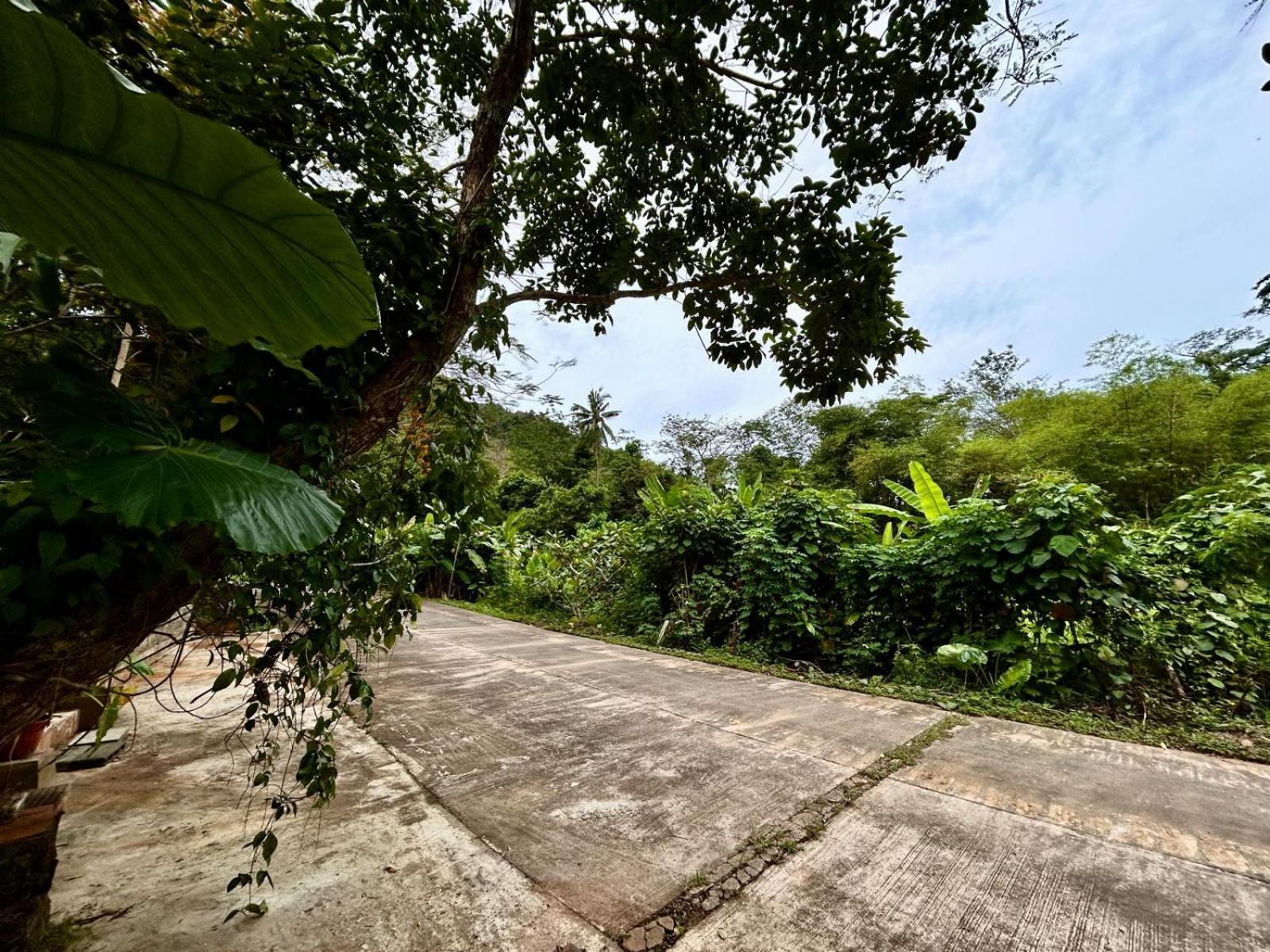 Phuchada Residence Nai Yang Beach Buitenkant foto